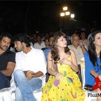 Allari Naresh's Madata Kaaja Movie Audio Launch Stills | Picture 78180